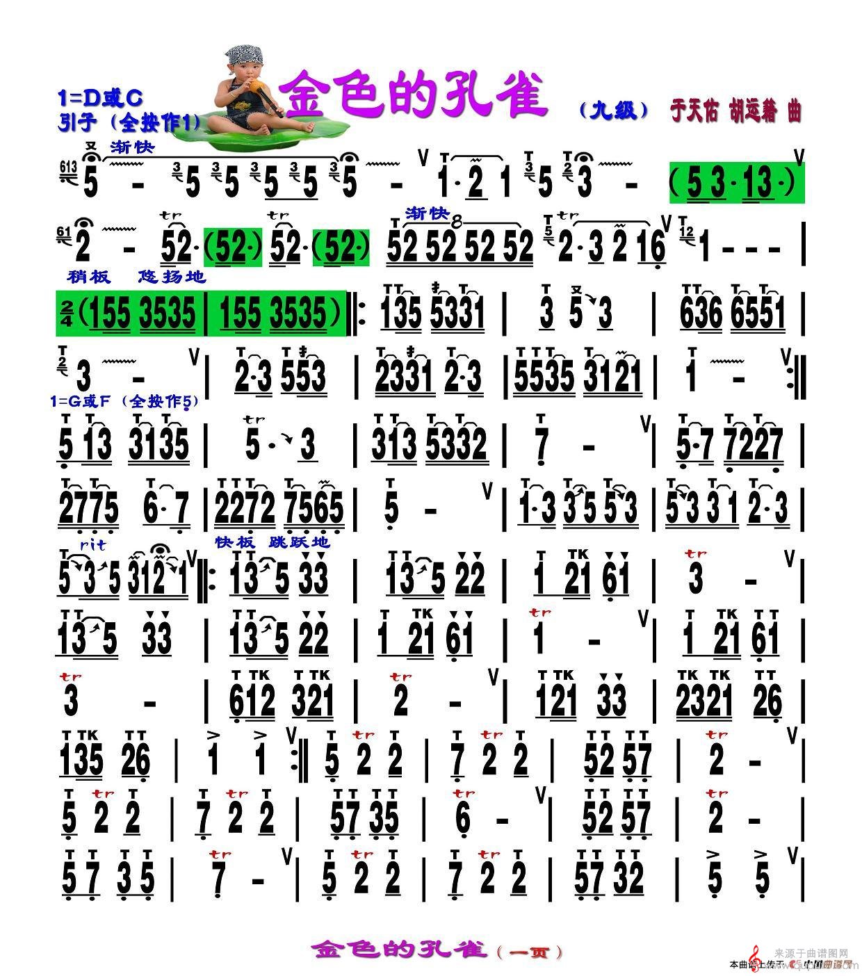 金色的孔雀 简谱（金色的孔雀葫芦丝独奏刘慧淑制谱版）