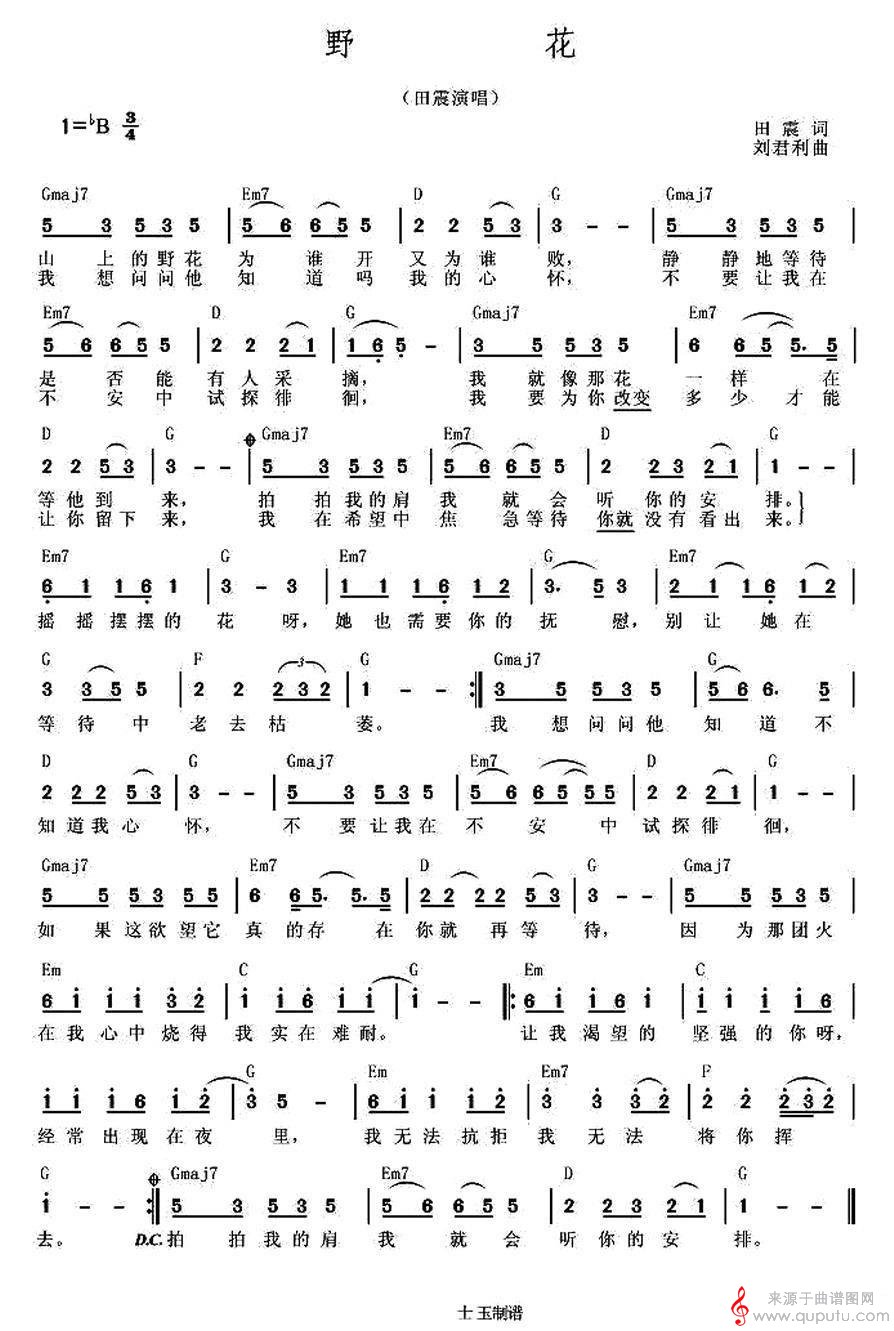 野花(原唱歌词歌曲简谱)